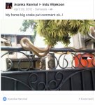 FB_IMG_1487607385205.jpg