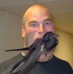eating-crow.jpg eating-crow.jpg