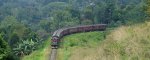 travel-links-sri-lanka.jpg