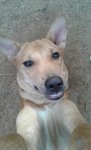 20160421_172113as.jpg