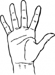 hand_normal.png