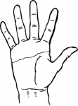 hand_special.png