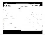 Snapshot_6.jpg