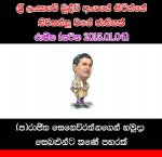 80.jpg