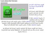 Capture 1.JPG
