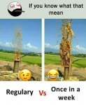 FB_IMG_1515314945140.jpg