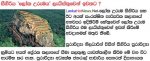 sigiriya1.jpg