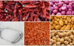 essential-items-1-415x260.jpg