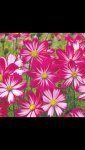 flower.jpg