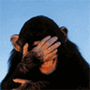 avatar476738_4.gif
