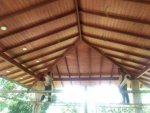 IMG-20171228-WA0049.jpg