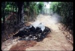 mass-murder-89.jpg