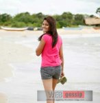 oshi-photoshoot.jpg