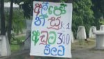 20170626_104722.jpg
