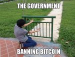 xgsklg6a33qz.jpg