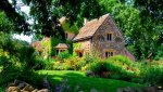 garden thewoman.lk.jpg