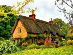 garden thewoman.lk 2.jpg