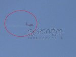 image_41d873226f.jpg