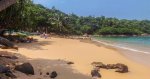 GalleMataraUnusual-01.jpg