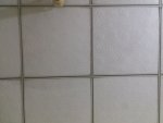 20180722_231413.jpg