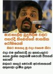 FB_IMG_1555998195474.jpg