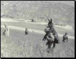 donkey_1.jpg donkey_1.jpg