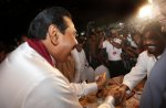 JVP_Anura_with_MR.jpg