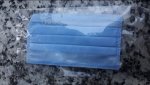 3-fly-face-mask-500x500.jpg