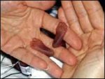 _42591071_amilliafeet203.jpg