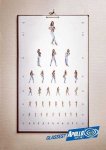 funny_pictures_Eye_test___Need_Glass___.jpg