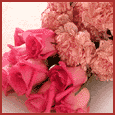 2232-007-03-1099.gif