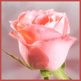 2232-002-35-1099.gif