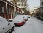 Snow 5.jpg