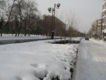 Snow 7.jpg