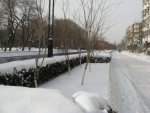 Snow 6.jpg