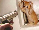 catsticup.jpg