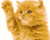 cat_09.gif