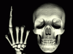 4.gif