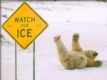 funny_pictures_Watch_for_ice_.jpg