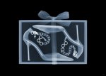 jimmy-choo-high-heels-x-ray.jpg