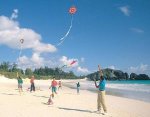 kites.jpg