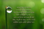 focus copy.jpg