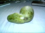 IMAG0002.JPG
