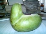 IMAG0003.JPG