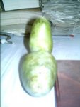 IMAG0004.JPG