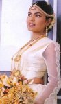 Copy of ayesha (1).jpg