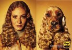 funny_pictures_Dog_and_owner_5.jpg