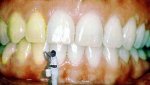 funny_pictures_Meet_Michelangelo_the_Tooth_Fairy.jpg