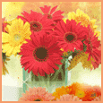 1008-001-150-1069.gif