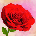 1036-044-03-1074.gif